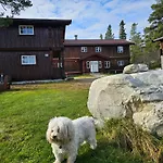 Mountain - Midtgardstunet Alojamento de Turismo Selvagem Ringebu