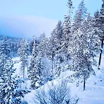 Mountain - Midtgardstunet رينغيبو