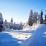 Mountain - Midtgardstunet * رينغيبو