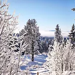 Mountain - Midtgardstunet *