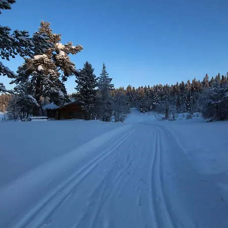 Mountain - Midtgardstunet Jaktstuga *