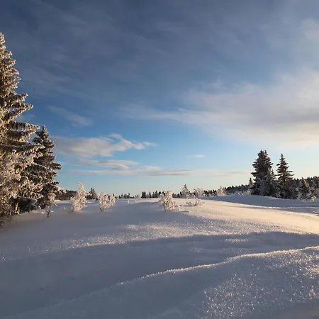 Mountain - Midtgardstunet *