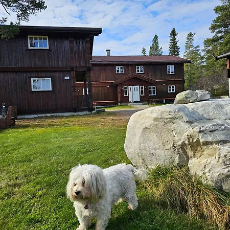 Mountain - Midtgardstunet Jaktstuga Ringebu