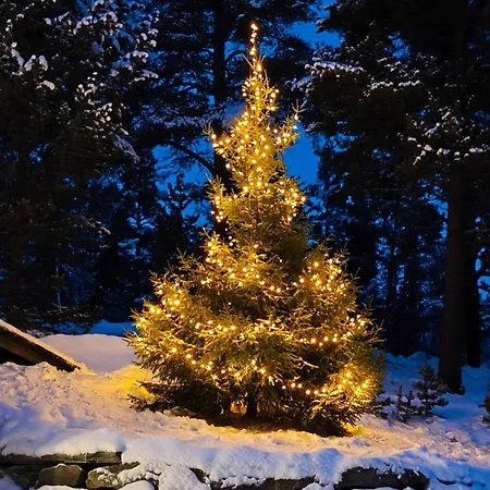 Lodge Mountain - Midtgardstunet Ringebu