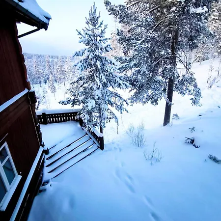 Mountain - Midtgardstunet Gerendaház Ringebu