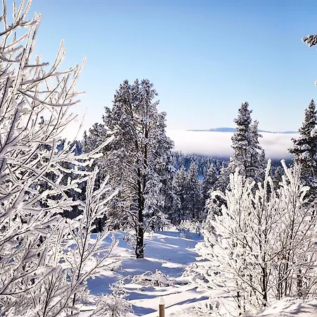 Mountain - Midtgardstunet *