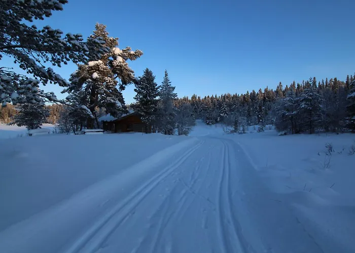 Mountain - Midtgardstunet Jaktstuga *