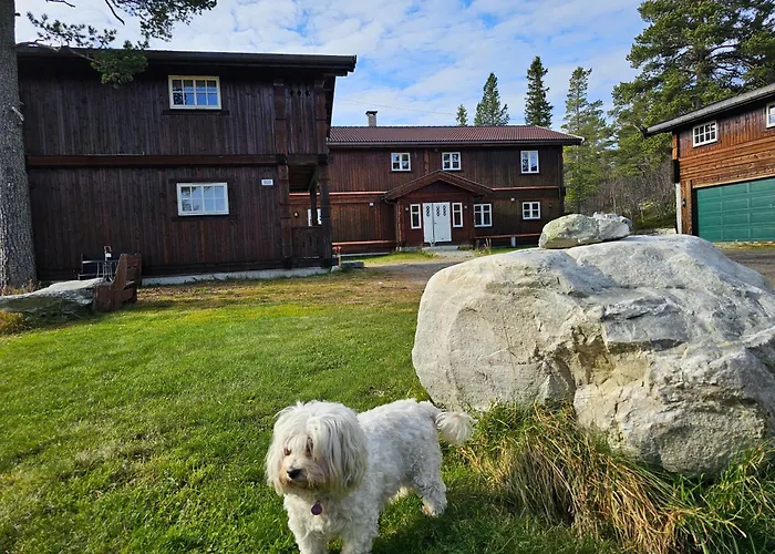 Mountain - Midtgardstunet Jaktstuga Ringebu