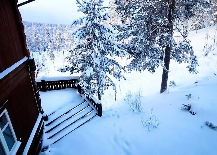 Mountain - Midtgardstunet Jaktstuga Ringebu